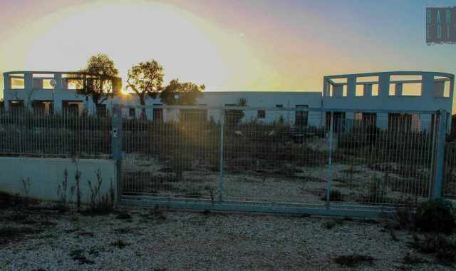 Sannicandro, il nuovo canile gi abbandonato: non c nessuno che lo voglia gestire